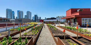 Stack House Gallery 20