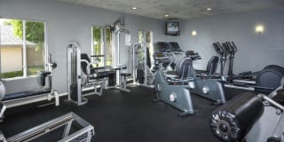 Terra Vista Apartments Gallery 8