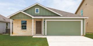 2614 PECHORA PIPIT Gallery 1