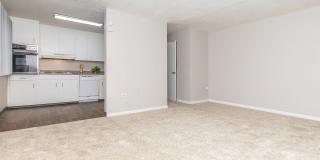 Regent Park Regent Park Gallery 1