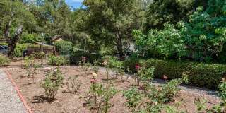 Desirable San Roque Condo Gallery 13