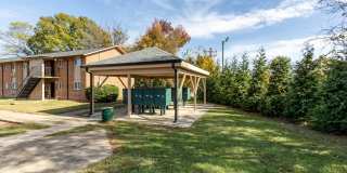 LOSO Living Gallery 9