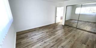 10908 Rose Gallery 22