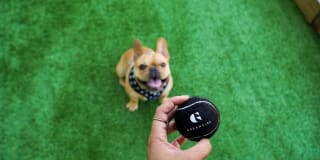 Greenside Gallery 28