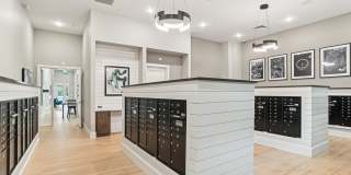 Allora Ashley Park Gallery 17