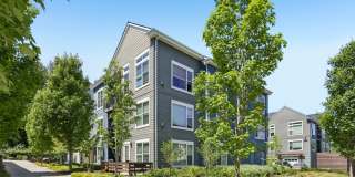 Anthology Apartments Gallery 33