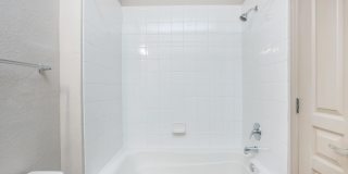 RIZE at Winter Springs Gallery 130