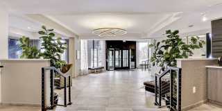 The Mark Alexandria Gallery 8