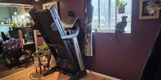 2117 38th St. Gallery 24