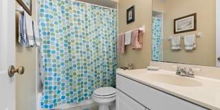 5548 Spring Brook Road Gallery 8