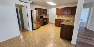 4003 Ashleaf Pecan Gallery 1