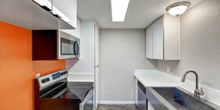 The Pines Apartments Gallery 85