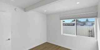 61 Redwood Avenue Gallery 29