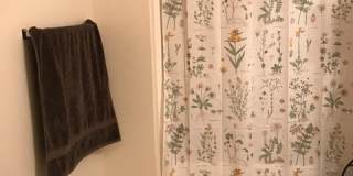 21 Orange Gallery 45