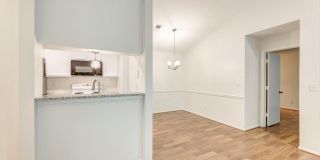 529 Warm Springs Circle Gallery 5