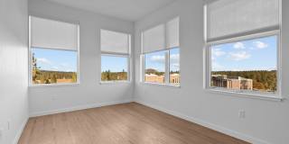 Strata Gallery 37