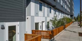 The Frankie Gallery 42