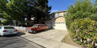 4101 Rose Parade Gallery 2