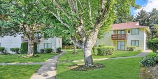 Foothills Gallery 21