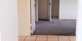 *DO NOT DISTURB TENANTS- 4 bedroom 2 bath home w/POOL!! Gallery 14