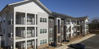 Waterleaf at Cold Springs Gallery 2