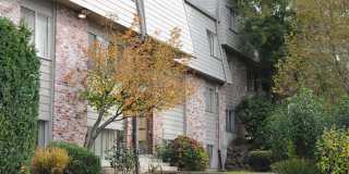 Fir Terrace Gallery 4