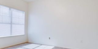 1050 Springdale Rd, #2018 Gallery 3
