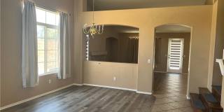 15177 Dandelion Gallery 7