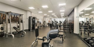 The Victor Gallery 5