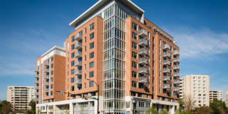 Crystal Flats Crystal Flats Gallery 1