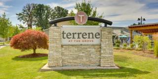 Terrene at the Grove Gallery 24
