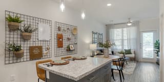 The Mason Fremaux Park Gallery 8