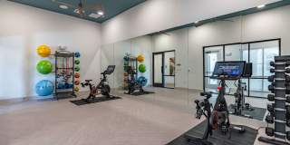 Ariza Scott BLVD Gallery 13