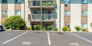 Terra Apartments Gallery 18