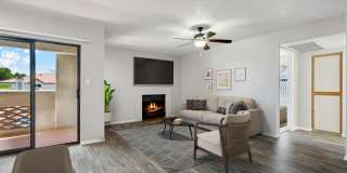 Twin Palms Gallery 42