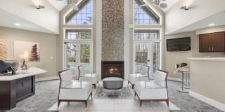 Indigo Springs Gallery 1