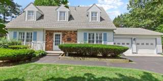 1 Patricia Lane Gallery 2