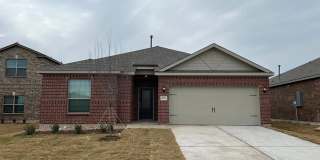 2013 EMMA Court Gallery 1
