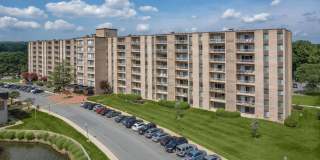 Seven Springs Apartments Gallery 30