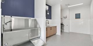 Ellison at the Preserve Gallery 36