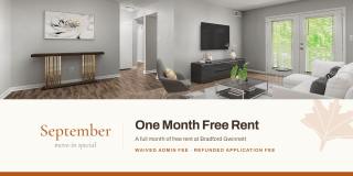 Bradford Gwinnett Apartments Gallery 1