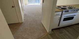 1168 Arthur Street - B Gallery 1