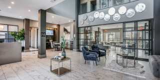 SilverStream Gallery 13