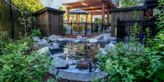 Mercato Grove Gallery 34