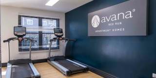Avana Red Run Gallery 8