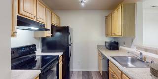 Ridgewood Gallery 11