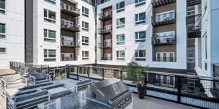 The Penny at Jackson Ward The Penny at Jackson Ward Gallery 1