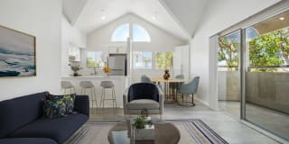 Newport Palms Apartments Gallery 4