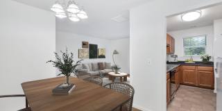 Spark Culpeper Gallery 10