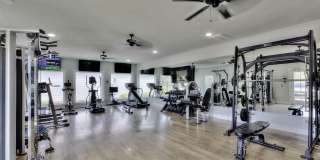 LEO at the Sanctuary Gallery 13